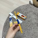 다랑동물병원 | 페스룸 강아지 칫솔 추천! 매일 양치했더니 치석이 사라졌어요! :-)