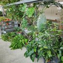 평화티슈 | 전주 신상 카페 휘낭시에 맛집 전북대 카공 평화와평화, 구내매점