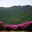 무등아래 이미지