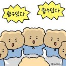 일상 보통의 식단 첫 말랑이 춘천 나들이 센트럴파크 산책 부부 데일리룩 다이어터 과자 추천 책 추천