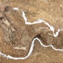 용사1구 이미지