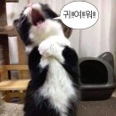 박열 | 24.07.25 <박열> 후기