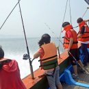 오케이낚시 이미지