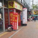 칠성복어 이미지