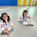 국가대표 영웅 태권도 이미지