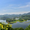 옥     정 이미지