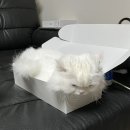 스펀지노래연습장 이미지