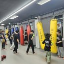 팀맥 스타짐 이미지