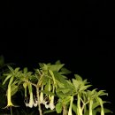 박달농장 이미지