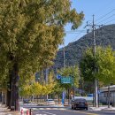 담양여행 이미지