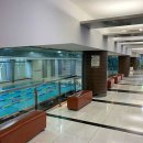 서울스포렉스 이미지