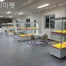 에이미펫 | 인천강아지분양 에이미펫 안전하고 검증된 곳