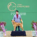 달아실 농원 이미지