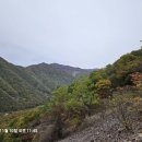 삼박골농장 이미지