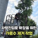 가로수빌딩 | 가로수 제거로 건물 차량진입로구간 확보