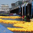 멍, 타임 이미지