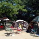 코코농장 이미지