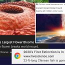 CW-1921-01 이미지