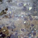 바하캘리포니아 이미지