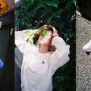 르꼬끄스포르티브 쿠키뉴스