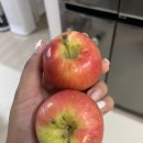 올프레시탕정점