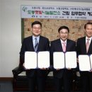 평화 태양광발전소 이미지