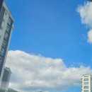 신주초등학교 이미지