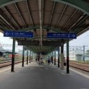 연세대학교 보건대학원 이미지