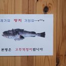 홍가네식당 이미지