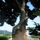 전남 영광 백수염전, 염산교회, 야월교회기념관, 영광연안김씨종택, 불갑저수지수변공원
