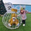 부천종합운동장(차량등록과 앞) | 부천 [빙파니아] 방문 체험 후기