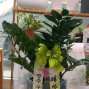 서포한의원 이미지