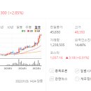심텍 이미지