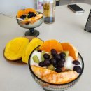 호계튼튼의원 | 직장인 초산모 임신 후기 30주차 일기 백일해 백신 접종 만삭사진 촬영