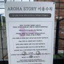 아로하스토리 | 용인애견카페 용인애견운동장 아로하스토리 이용 후기