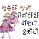 승주국밥 | [26.01] 세월아 비켜라 내 나이가 어때서