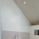 애견목욕탕 이미지