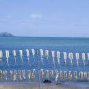 장사어촌체험마을 이미지