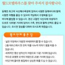 낙산화이트홈펜션 이미지