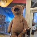 테지움사파리 | 제주 테디베어테지움 후기｜아이와 체험하기 좋은 실내관광지 🧸