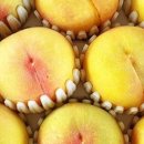 달콤한 푸른농장 이미지