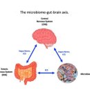 무림한의원 이미지