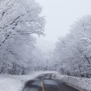 제주도한달살기 이미지