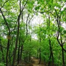 구리둘레길(1코스) 이미지