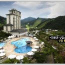 엘리시안강촌콘도 이미지