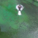 혜인산업개발 이미지