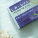 주식회사 레이델코리아 이미지