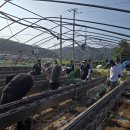 경상남도인재개발원 이미지