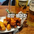 생마차 광양중마점 | 광양 술집 [생마차] 내돈내산ㅣ광양 중마동 맛집 이자카야 ㅣ생마차 메뉴 생맥주 테바나카 가성비 술집...