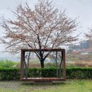 신상동 인공습지 이미지